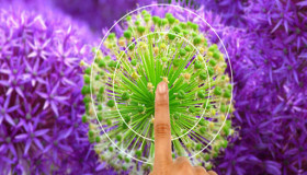 Chạm lấy nét – Bạn đã biết chưa?