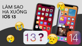 Háo hức lên iOS 14, người dùng "tháo chạy" vì hàng loạt lỗi khó chịu