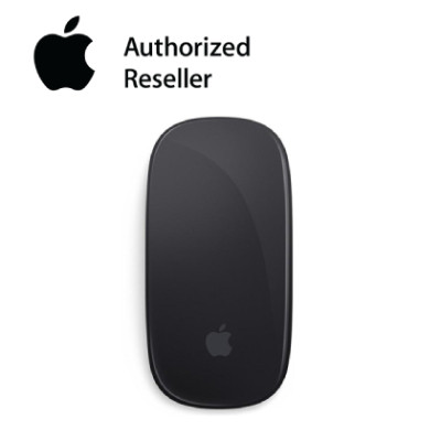 apple magic mouse 2 gray