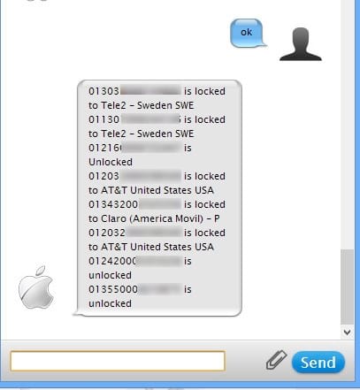 cach check serial phan biet iphone lock hay iphone quoc te hinh anh 8