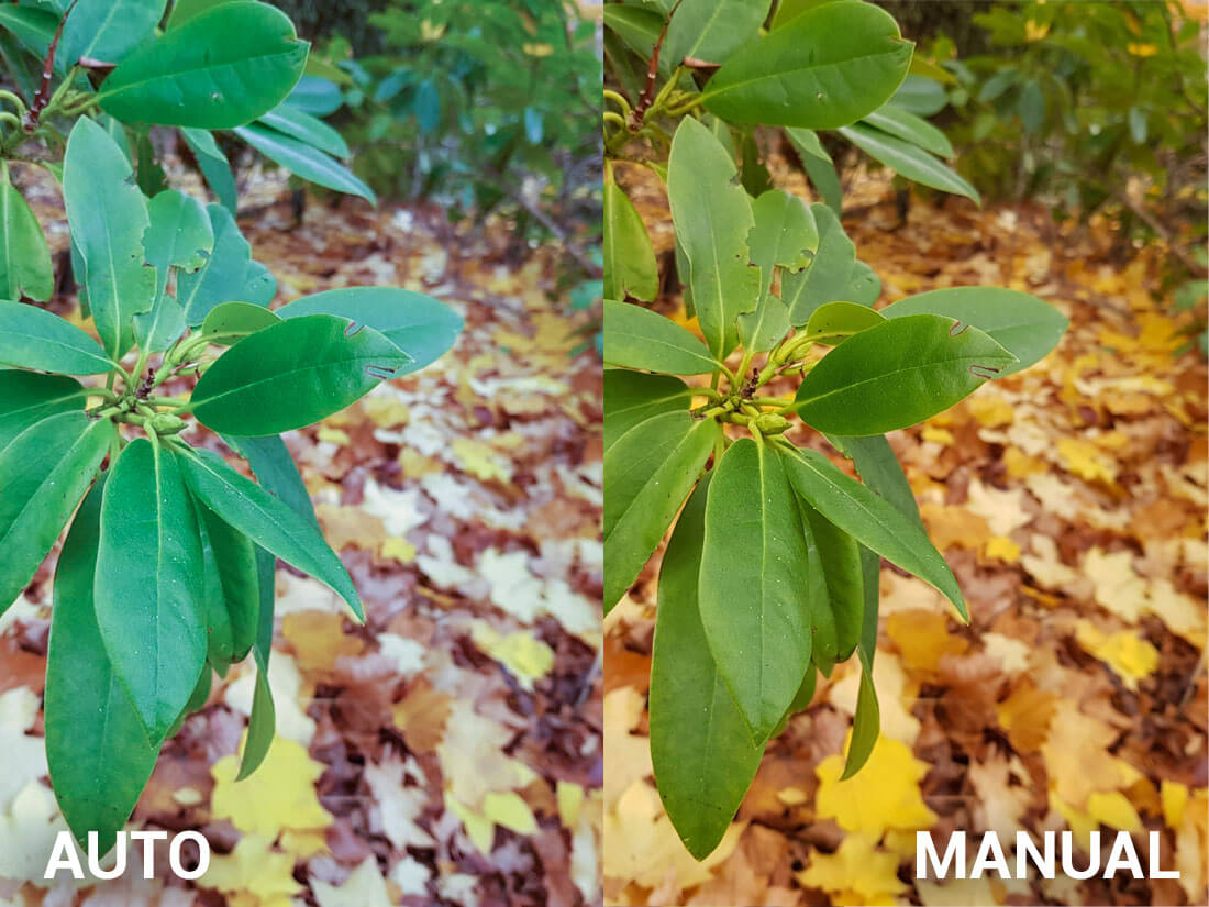 che do chup anh tu dong