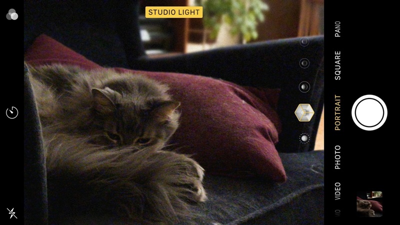 meo hay giup xoa phong vao ban dem