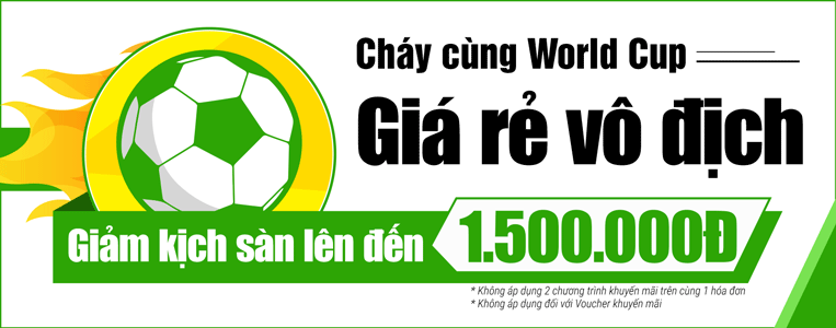 chay cung world cup - gia re vo dich hinh 1