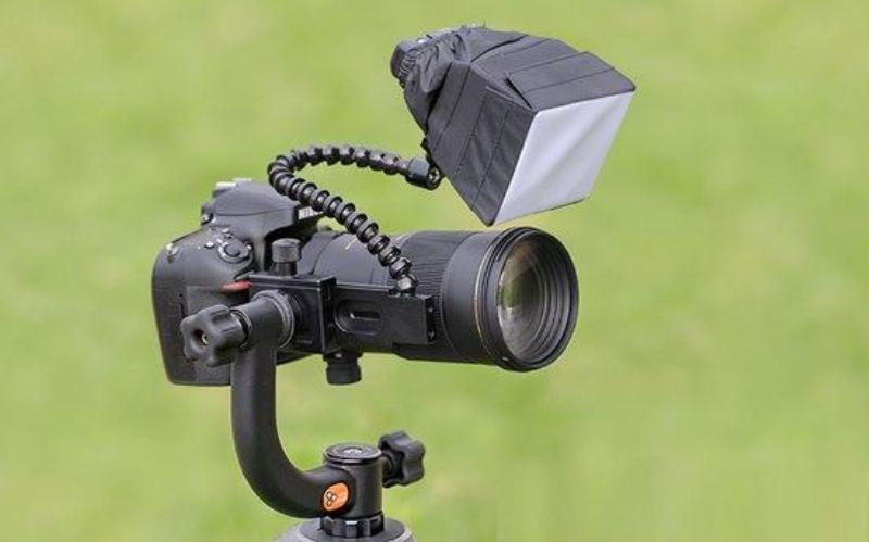 chup-anh-macro-dep-lung-linh