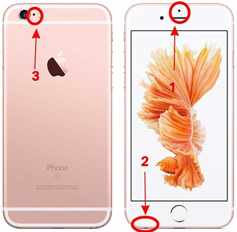 Hỗ trợ các cuộc gọi thoại và ghi âm