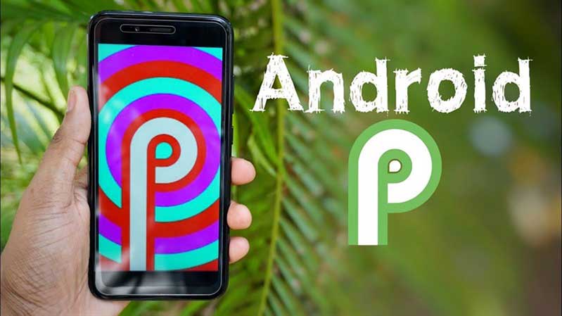 smartphone xiaomi se duoc nang cap len android pie trong nam 2019