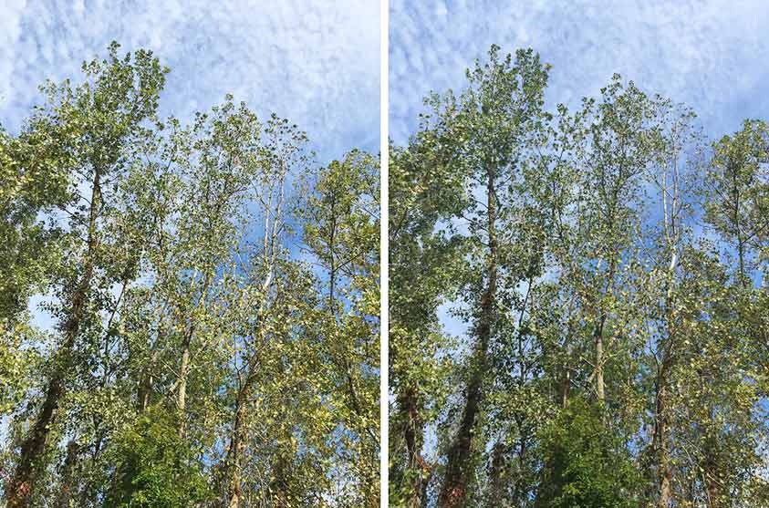 so sánh ảnh chụp 2