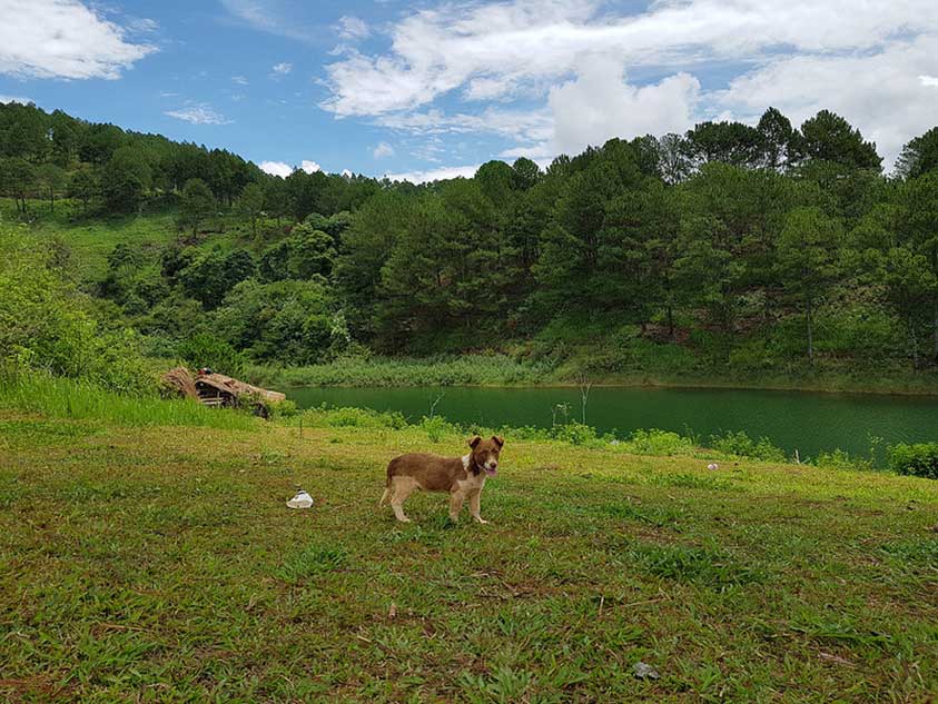 Hinh chup tu camera galaxy S8 hinh 2