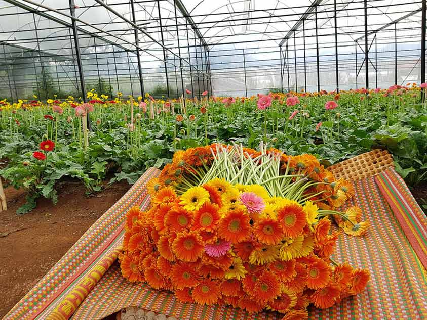 Hinh chup tu camera galaxy S8-1