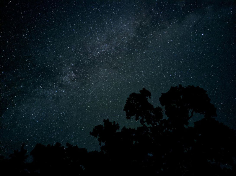 16 bức ảnh chụp bởi Google Pixel 4