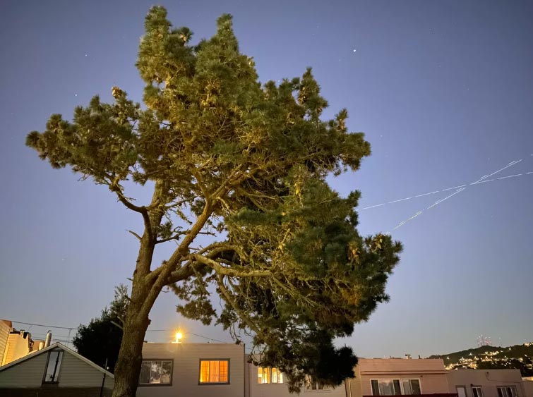 Chế độ ban đêm có khả năng một số hình ảnh tuyệt vời.