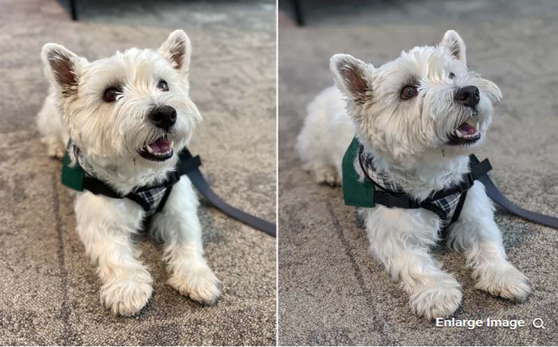 Chế độ chân dung