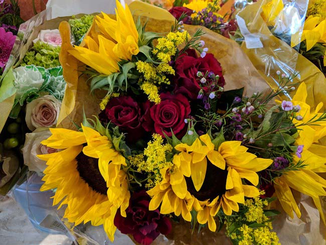 Màu sắc hình ảnh chụp trong nhà pixel 2